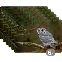 KitchenYeah Placemat - Placemats kunststof - Uil - Vogel - Takken - Natuur - 45x30 cm - 6 stuks - Hittebestendig - Anti-Slip - Onderlegger - Afneembaar