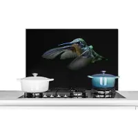 KitchenYeah Spatscherm keuken 90x60 cm - Kookplaat achterwand Kolibrie - Vogel - Veren - Zwart - Muurbeschermer - Spatwand fornuis - Hoogwaardig aluminium