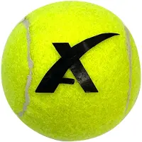 Toi-Toys Adrenix tennisballen met hersluitbaar net, 3st.