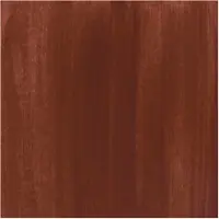 Bruynzeel Ecola plakkaatverf fles 16ml brown 400
