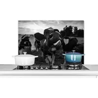 KitchenYeah - Spatscherm keuken - Dieren - Koe - Boerderij - Keuken - Zwart - Wit - Spatbord - Achterwand keuken - 80x55 cm