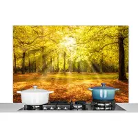 KitchenYeah - Spatscherm - Keuken spatwand - Bossen - Landschap - Natuur - Keuken - 120x80 cm - Spatwand - Spatscherm gasfornuis - Achterwand keuken - Muurbeschermer