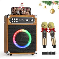 BOG Professionele Draagbare Karaoke Machine met 2 Draadloze UHF Microfoons PA Systeem en DJ Lamp Ideaal Voor Karaoke Feesten en Bruiloften