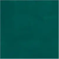 Bruynzeel Ecola plakkaatverf fles 16ml donkergroen 602