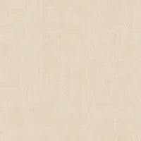 Dutch Wallcoverings Renaissance 2 Vliesbehang – Watermerk Textuur Beige