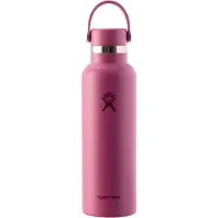 Hydroflask Standard Mouth Flex Cap Drinkfles (621 ml) - Reef