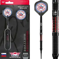 Bull's Benjamin Pratnemer 90% - Soft Tip Darts