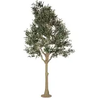 Clayre & Eef Kunst Olijfboom 320 cm Groen Kunststof