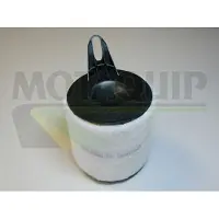 MOTAQUIP VFA1096 Luchtfilter
