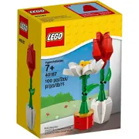 LEGO Bloemenpracht - 40187