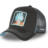 Capslab Cas Gok1 Pet