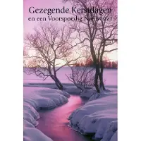 Benza Dubbele Religieuze Kerstkaarten 9 - 6 stuks