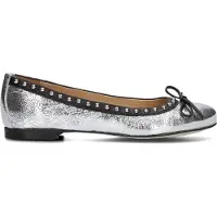 Blasz Dames Ballerina's 17600110 - Zilver - Maat 39