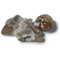 Spiru Trommelstenen Agaat Slangen (20-30 mm) - 50 gram