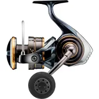 Daiwa Caldia Sw 2023 Spinning Molen