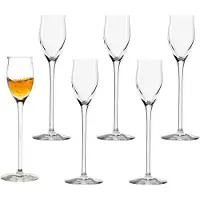 Stölzle Quatrophil Grappa glas 65 ml