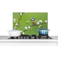 KitchenYeah Spatscherm keuken 70x50 cm - Kookplaat achterwand Pimpelmees - Tak - Bloemen - Bloesem takken - Vogel - Muurbeschermer - Spatwand fornuis - Hoogwaardig aluminium