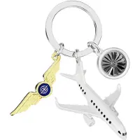 Metalmorphose Sleutelhanger Passagiersvliegtuig met Wing en Straalmotor