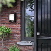 Philips LED-wandlamp buiten met bewegingssensor Arbour UE, zwart, Aluminium, Modern, LED wandlamp buiten