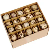 HBX natural living Kwartel Eieren Doos A 60 Stuks Bruin bruin Overig Decoratief