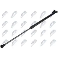 NTY AE-NS-038 Gasveer achterklep