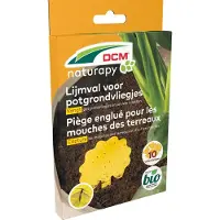 DCM Lijmval voor potgrondvliegjes | | 10 stuks (Bio-label)