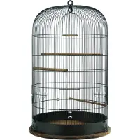 Zolux Vogelkooi Retro Marthe - Industriële Traliekooi met Zitstokken - 48x48x74 cm