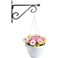 PlasticForte Hangpot + Muurhaak Lucca - antraciet - D20 cm - kunststof - metaal - tuinaccessoires