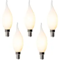 LUEDD Set van 5 E14 dimbare LED lampen BXS35 opaal 4W 450 lm 2200K
