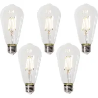 LUEDD Set van 5 E27 dimbare LED lampen ST64 clear 5W 600 lm 2700K