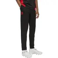 Puma Sportbroek 'AC Milan' donkergrijs / rood / zwart