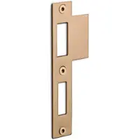 Formani Basics LBSPNYW sluitplaat tbv deursloten - PVD licht brons