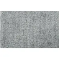 MSV Badkamerkleedje/badmat tapijt voor de vloer - lichtgrijs - 40 x 60 cm - Badmatjes