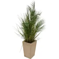 Atmosphera Kunstplant Wonj Palmboom met keramieken pot - 60x60x142cm - Groen/Beige