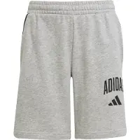 Adidas Broek 'CLGT' grijs gemêleerd / zwart
