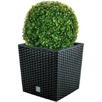 Wellhome Rato 32x32x32.5 Cm/27 Cm Bloempot