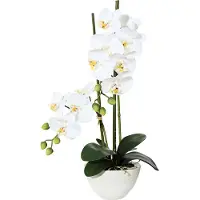 Kopu kunstbloem orchidee 50 cm met cement sierpot phalenopsis