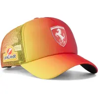 Puma Pet 'Scuderia Ferrari UK Hamilton' blauw / geel / rood / wit
