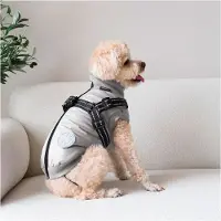 Nordic Paws Thor Hondenjas