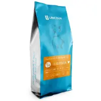 Lincoln Ultra Premium Medium En Groot Lamsvlees Met Rijst Hondenvoer 12kg