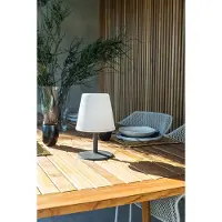 Lumisky Cordless Standy Mini LED tafellamp - H 25 cm - Dimbaar