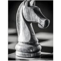 PosterMonkey Poster 60x80 cm - Paard - Hout - Schaalbord - Zwart - Posters - Kamer decoratie - Wanddecoratie woonkamer - Muurdecoratie slaapkamer