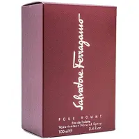 Salvatore Ferragamo Homme Eau de Toilette 100 ml