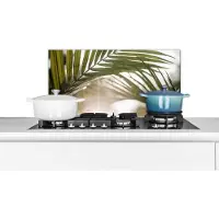 KitchenYeah Spatscherm keuken 70x30 cm - Kookplaat achterwand Palmboom - Palmblad - Zon - Zomer - Muurbeschermer - Spatwand fornuis - Hoogwaardig aluminium