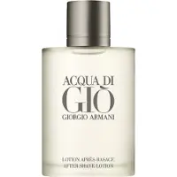 Giorgio Armani Acqua Di Giò Aftershave 100 ml