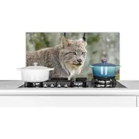 KitchenYeah Spatscherm keuken 90x45 cm - Kookplaat achterwand Lynx - Bos - Grijs - Muurbeschermer - Spatwand fornuis - Hoogwaardig aluminium