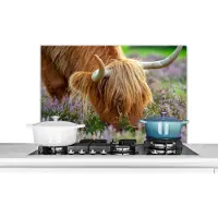 KitchenYeah Spatscherm keuken 80x55 cm - Kookplaat achterwand Schotse Hooglander - Hoorns - Heide - Muurbeschermer - Spatwand fornuis - Hoogwaardig aluminium