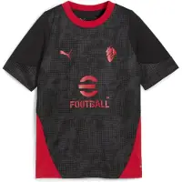 Puma Functioneel shirt 'AC Milan' donkergrijs / rood / zwart