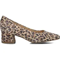 Peter kaiser Dames Hakken 72341 - Bruin - Maat 38