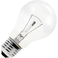 Schiefer E27 Gloeilamp | 25W 2700K 210lm 235V | Dimbaar